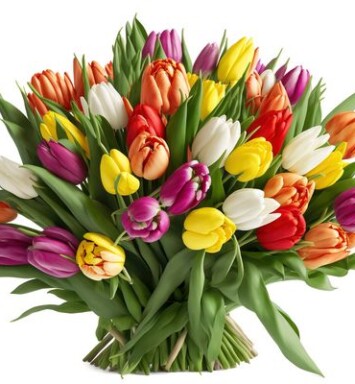 Tulip Bouquet. Treat the one you loved to one of these beautifully presented flowers. Free local delivery. Essex & Hertfordshire